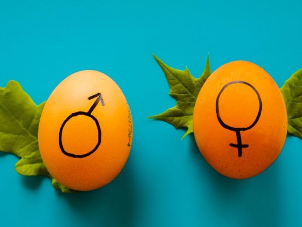 We need to talk about sex, not gender&nbsp;identity