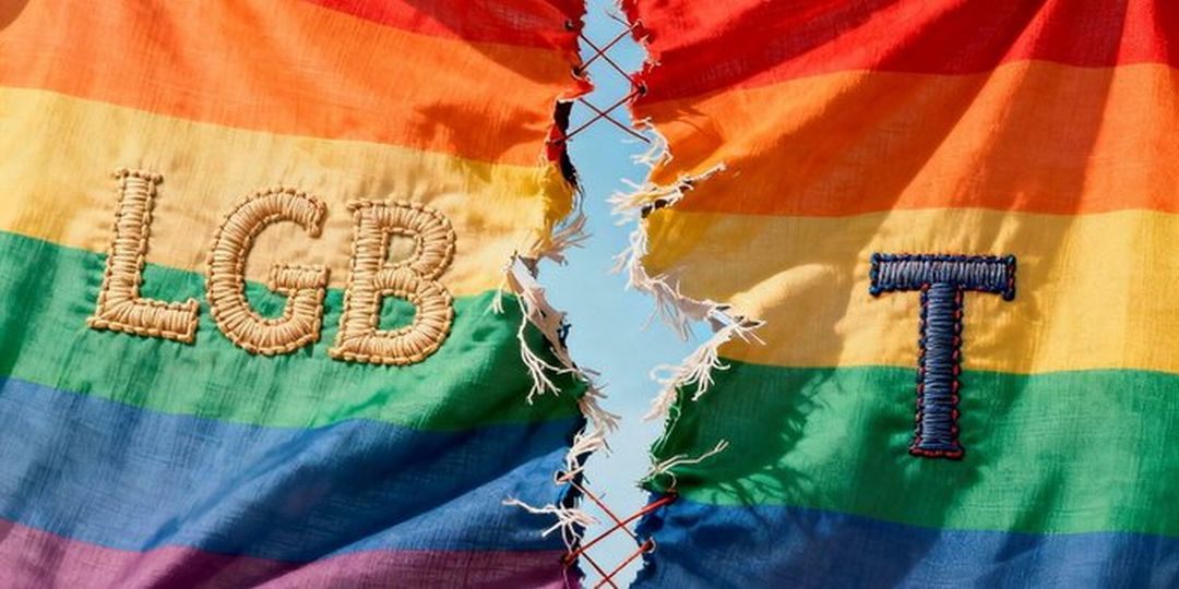 LGB International: The schism in the rainbow – Debbie Hayton